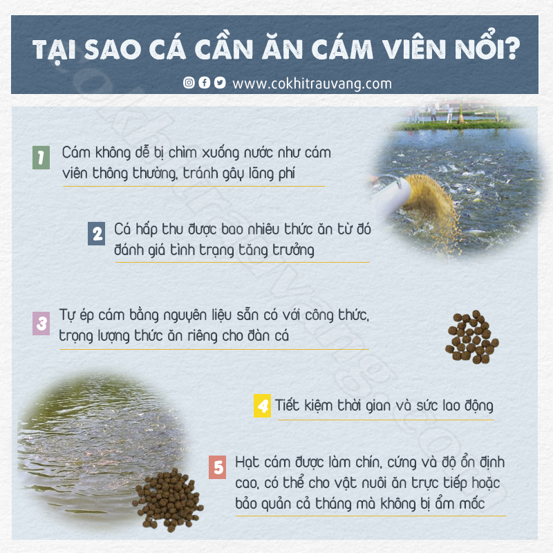 Máy làm cám viên nổi cho cá