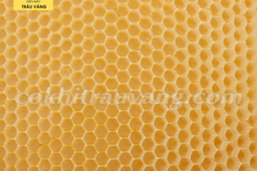 Máy in chân tầng ong: Đầu tư cho nghề nuôi ong hiệu quả