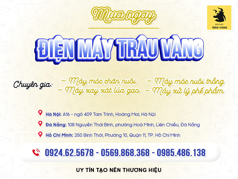 MUA HÀNG TẠI TRÂU VÀNG